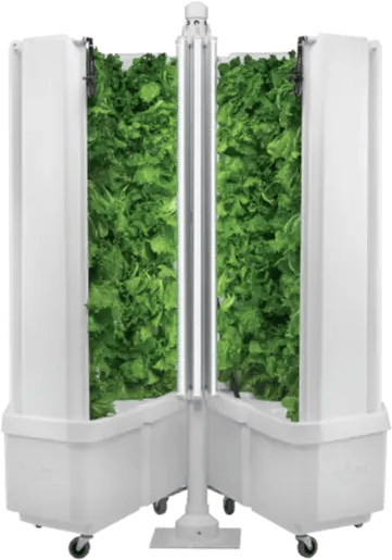 FlexFarm Plant Spaces (1)