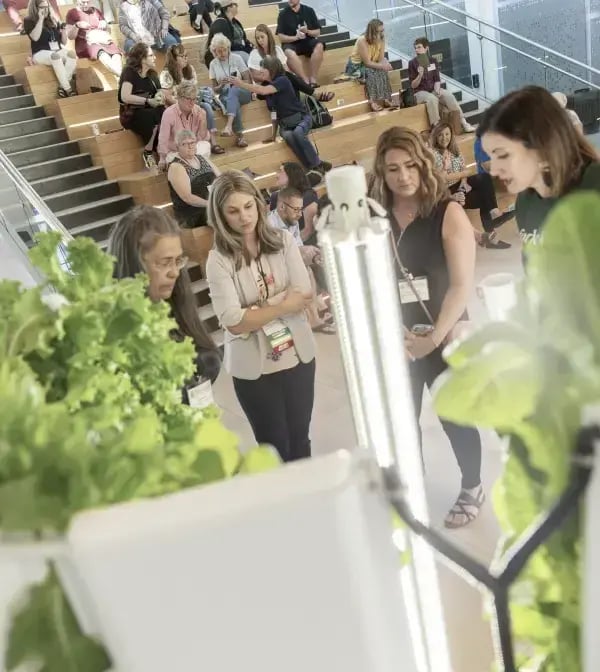 Group of People Observing Flex F