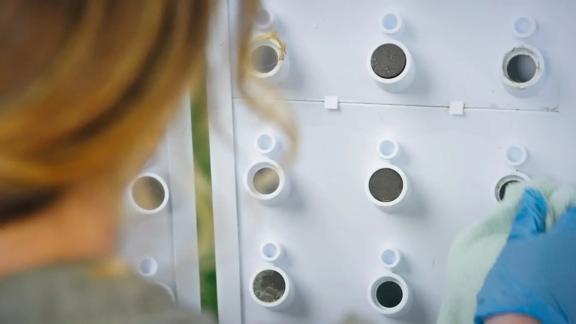 Post-Harvest Cleaning