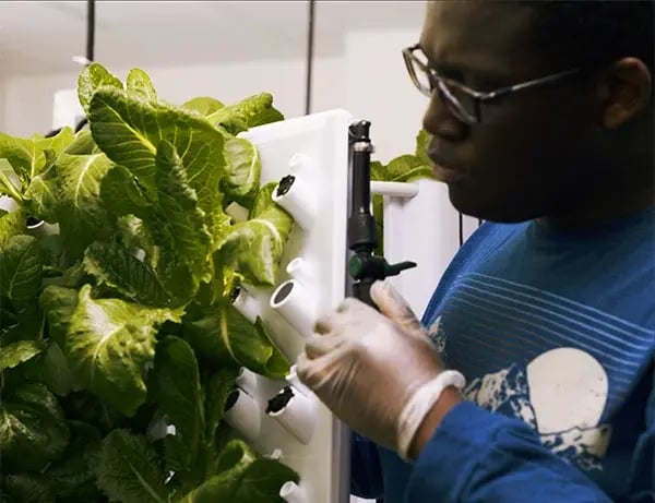 our-impact-secondary