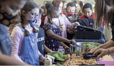 Gaps in food supply chain 