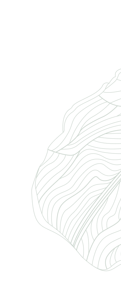Top Leaf
