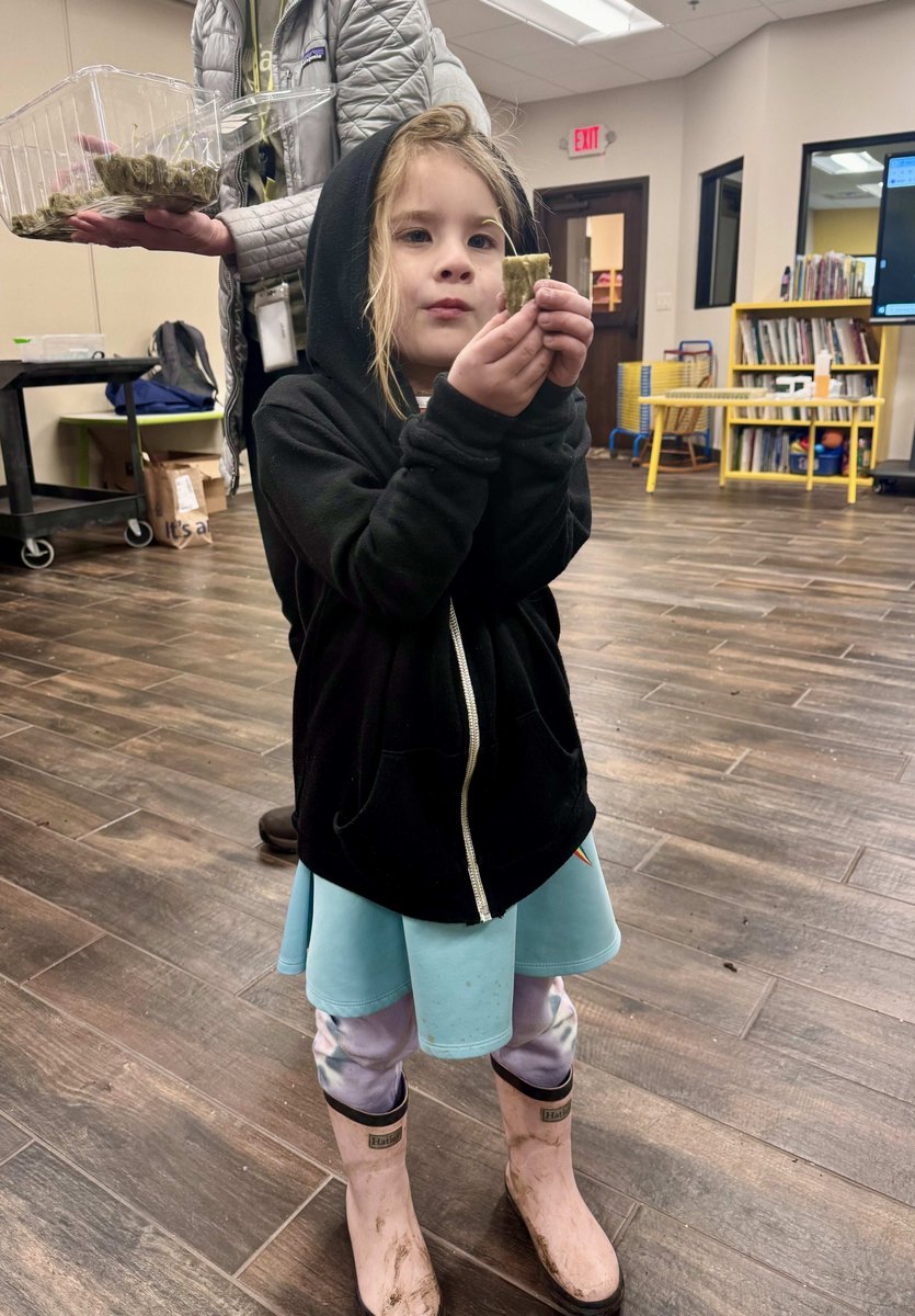 Oak Learning - Student