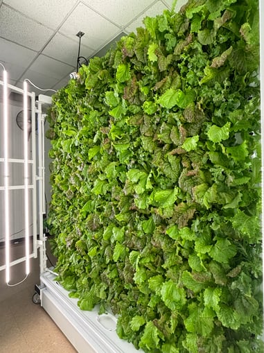 Image_20251203_084714_152