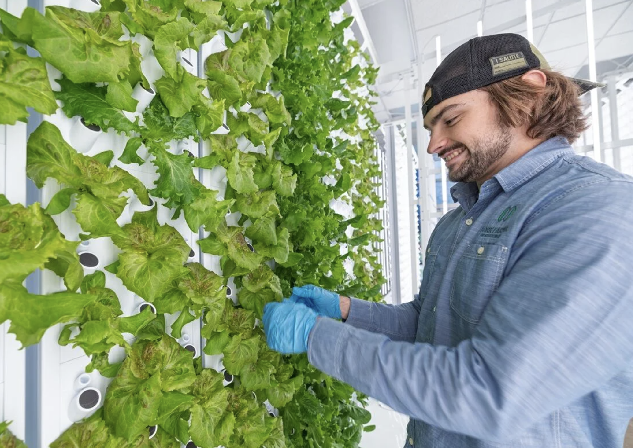 Screenshot 2025-12-29 at 8.59.10 AM