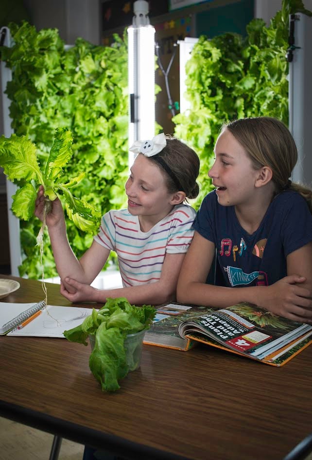 Students in Classroom