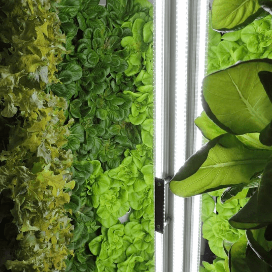 flex-farm-vertical-growing