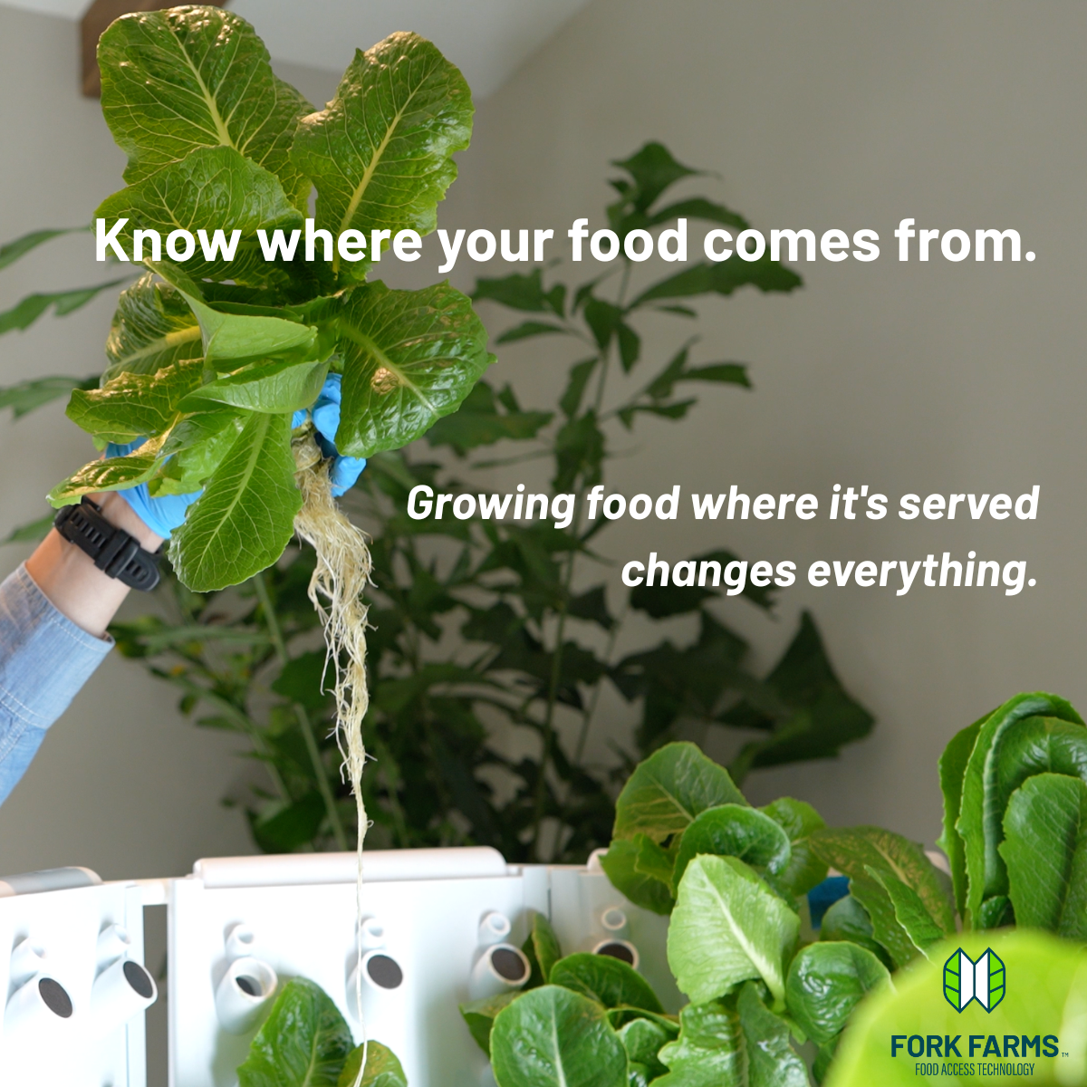Alex LinkedIn - Why Growing Food Closer to People Matters