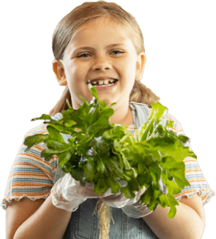 Person holding freshly harvested leafy greens from a compact indoor hydroponic farm