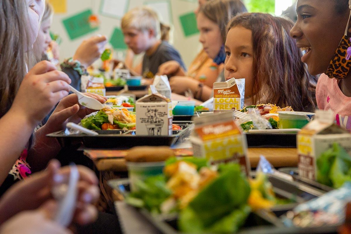 How to Start a Hydroponic School Lunch Program: What are the Steps?